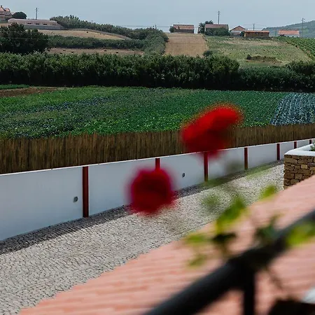 Πανσιόν Patio Da Figueira