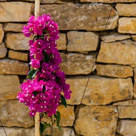 Patio Da Figueira Maison d'hôtes 3*