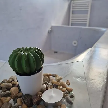 Patio Da Figueira 토레스베드라스