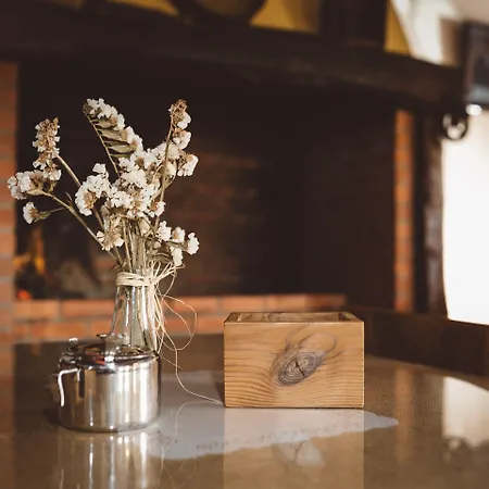 게스트하우스 Patio Da Figueira