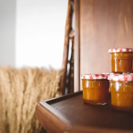 Patio Da Figueira 게스트하우스 토레스베드라스