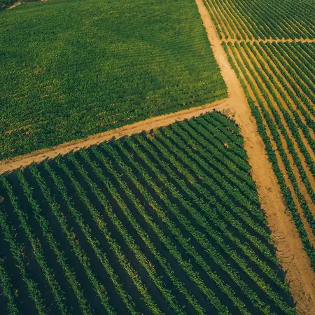 Patio Da Figueira Maison d'hôtes