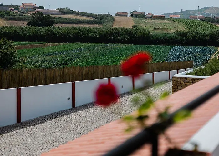 Guest house Patio Da Figueira